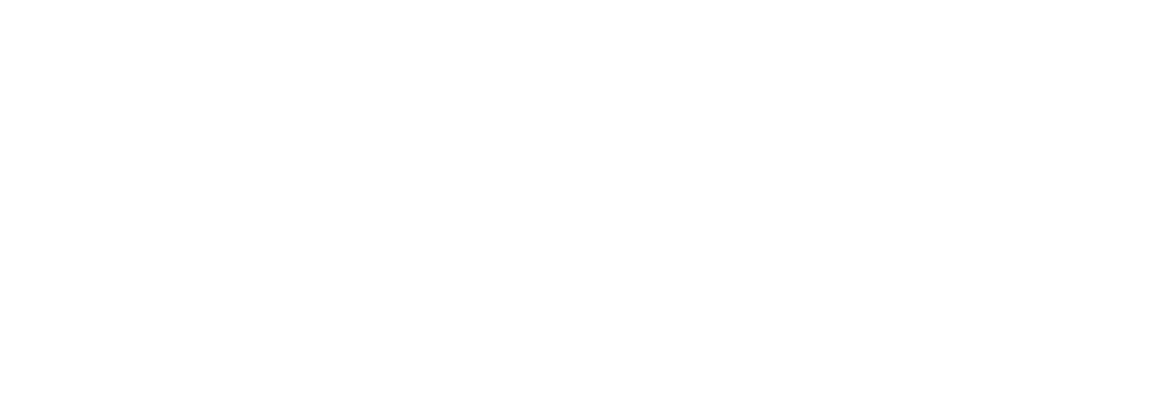 CHROMA KEY GREEN